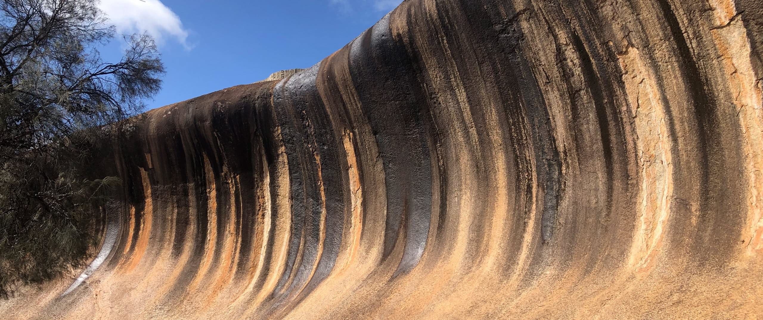 wave rock day tour from perth